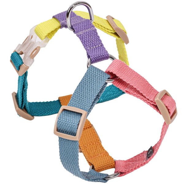 Colorful Dog Harness