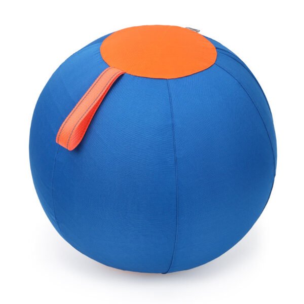 Inflatable Training Ball
