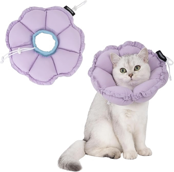 Cat Elizabethan Collar