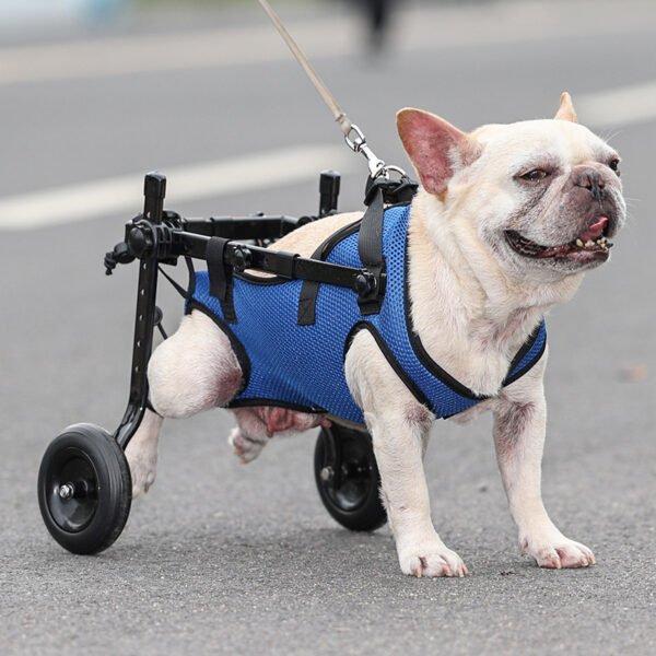 Disabled Pet Wheelchair