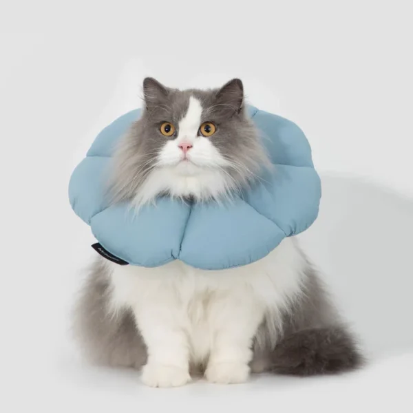 Cat Cone Soft Collar