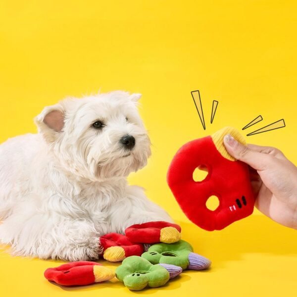 Squeak Chew Toys
