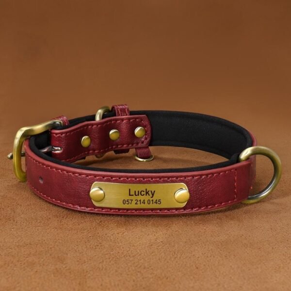 Luxury Pet ID Name Collar
