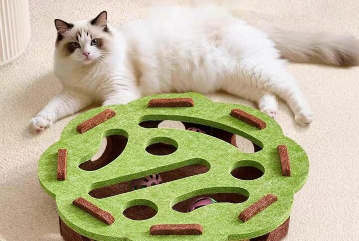 img v3 02om eb5c3b15 1e0f 4469 b16d 4eb4792b4bfg Lucky Pet