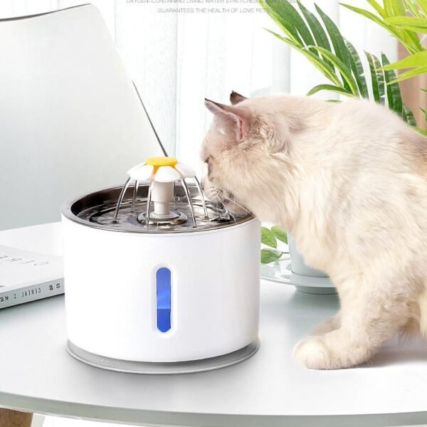 Cat Water Fountain with Stainless Steel Lid