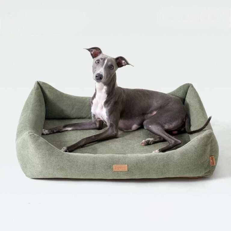 About Us 3 20250808 170929 Lucky Pet