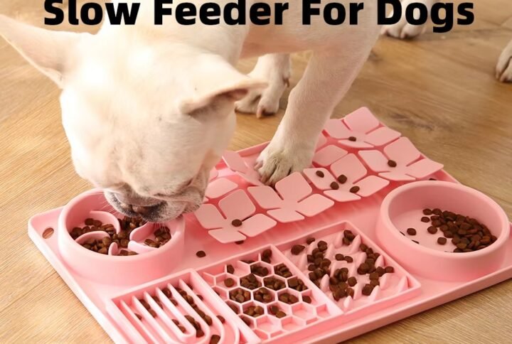 img v3 02p2 20f37cd5 3b41 4e99 a6d4 a7b0ece6666g Lucky Pet