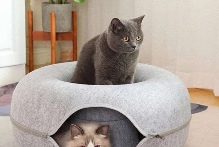 img v3 02pl 39bc32f3 0e21 495a bcbe fdebbf8294cg Lucky Pet