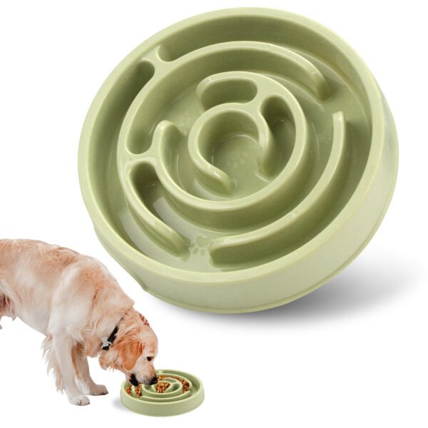 Pet Slow Food Bowl