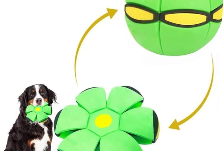 61AbDdYrsJL. AC SL1500 Lucky Pet