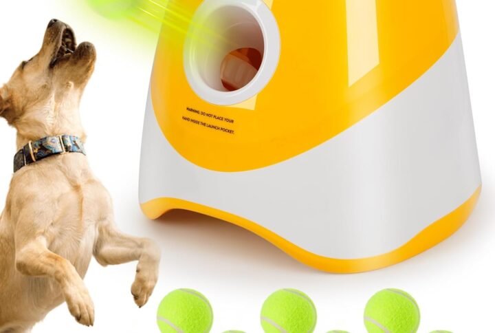 61FiNCu0K7L. AC SL1500 Lucky Pet