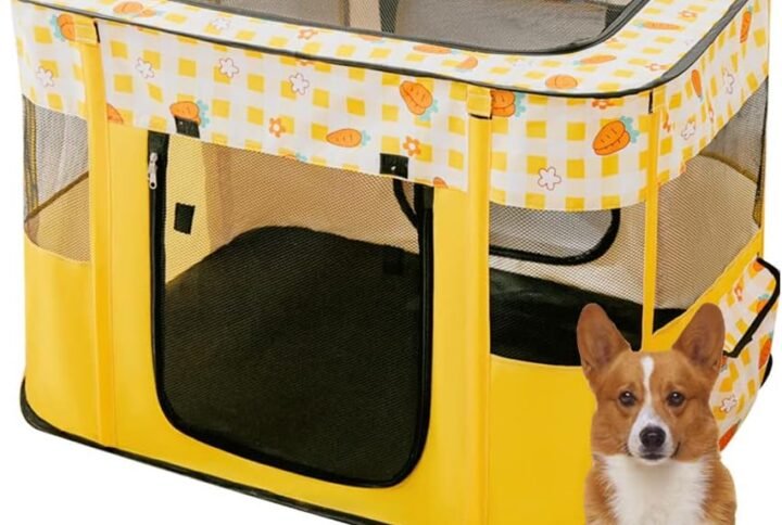 61PQdNiSvjL. AC SL1000 Lucky Pet