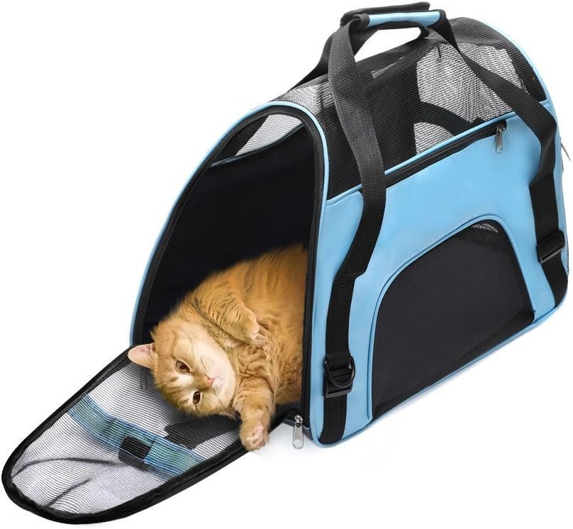 61Q8rj6D5BL._AC_SL1000_