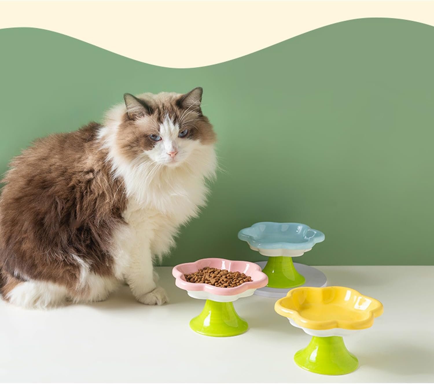 61dr6oGN1DL._AC_SL1500_