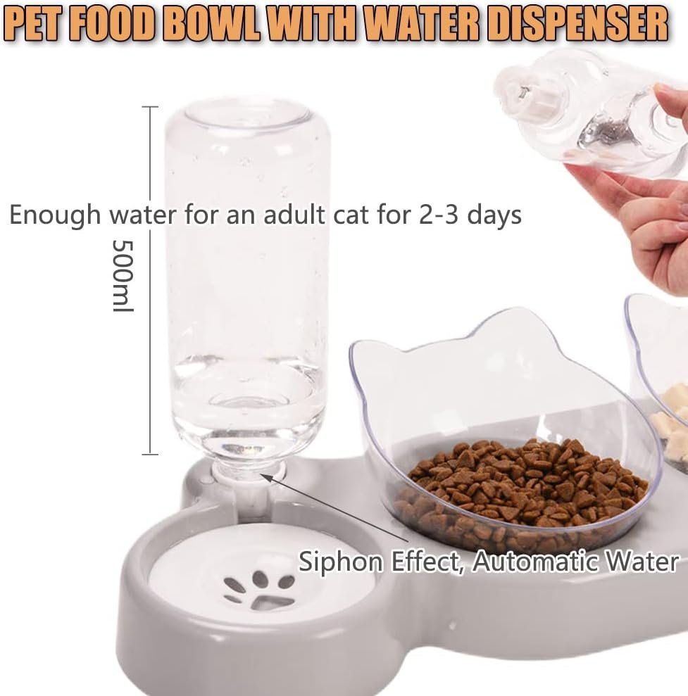 61my3Oo7FmL._AC_SL1000_