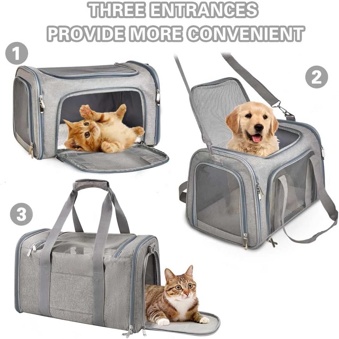 61r1pn+g2jL._AC_SL1200_