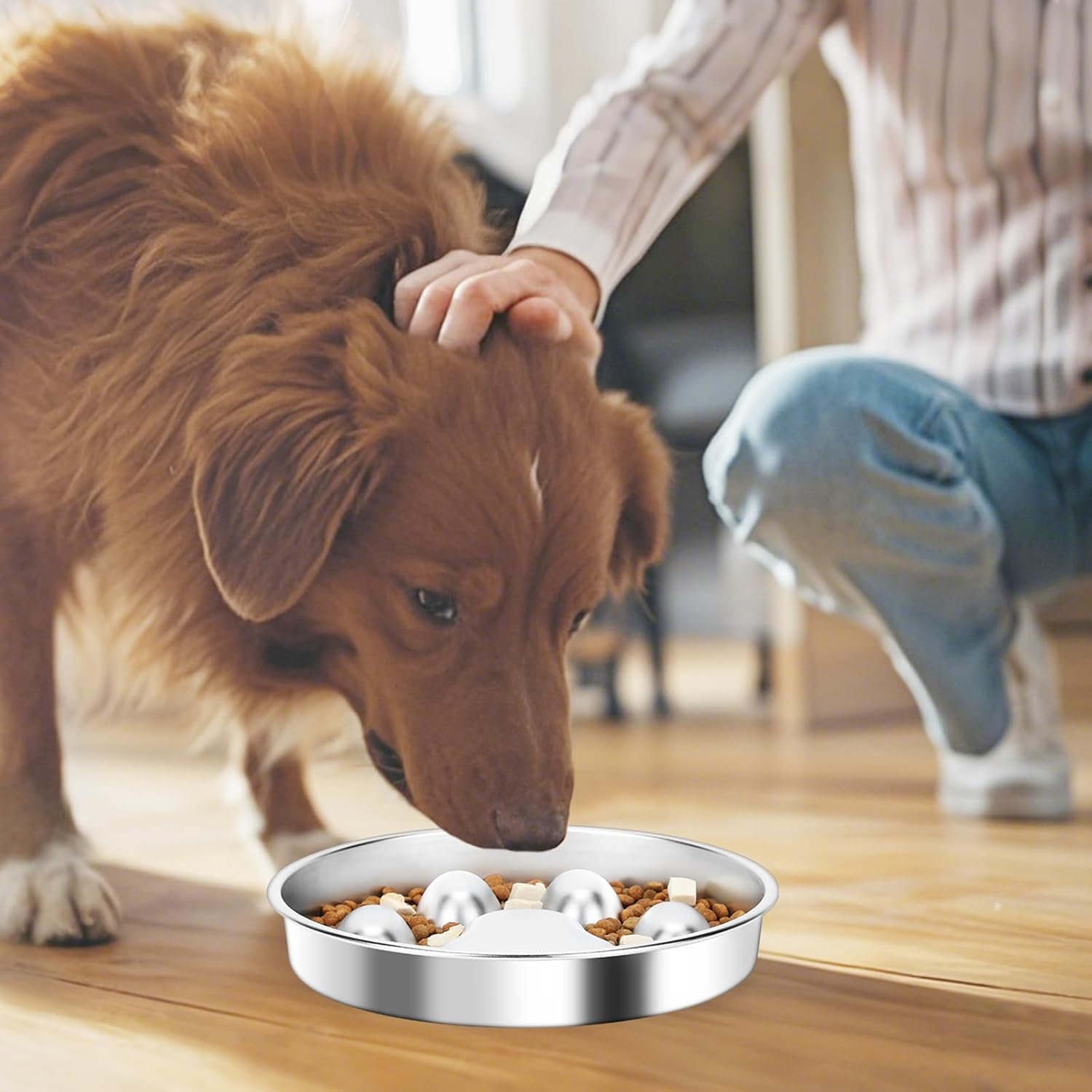 71NSYbq0KdL._AC_SL1500_