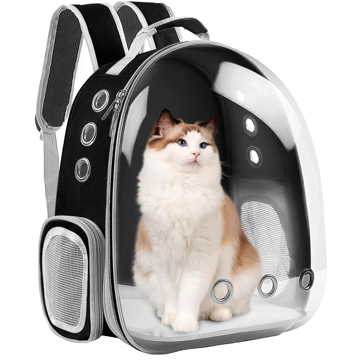 71YVMWspFDL._AC_SL1500_