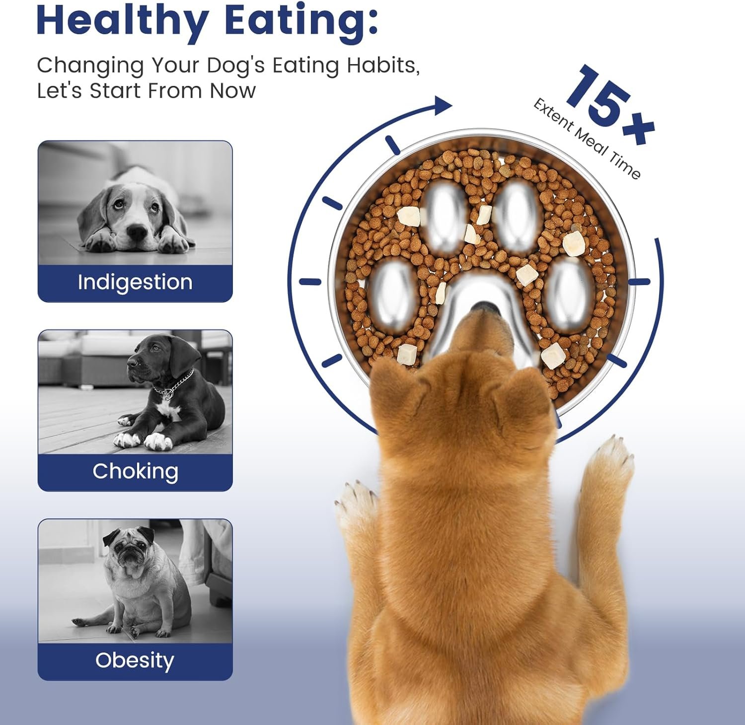 71bAwQ1RXZL._AC_SL1500_