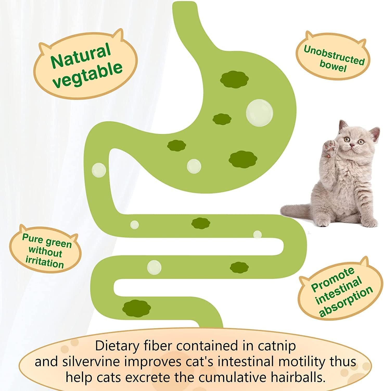 71bvzZlcBZL._AC_SL1500_