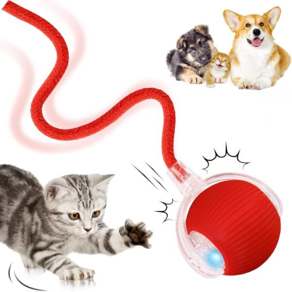 Cat Ball Toy, USB Rechargeable Smart Ball Gifts for Cats