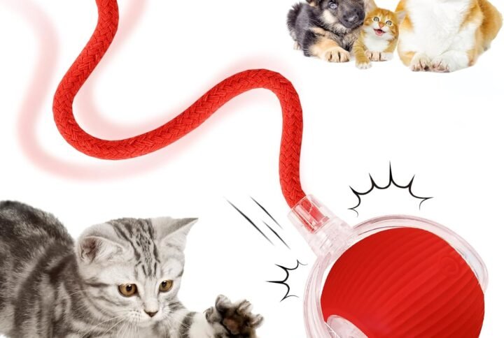 71uOu ZzaXL. AC SL1500 Lucky Pet