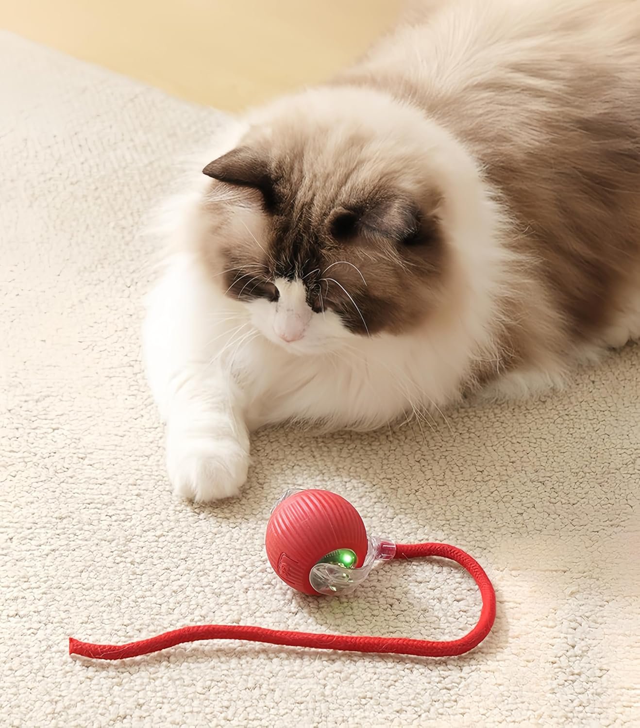 81My6CvC78L._AC_SL1500_