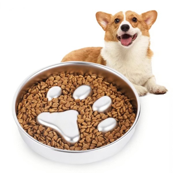 Stainless Steel Dog Bowls to Slow Down Eating