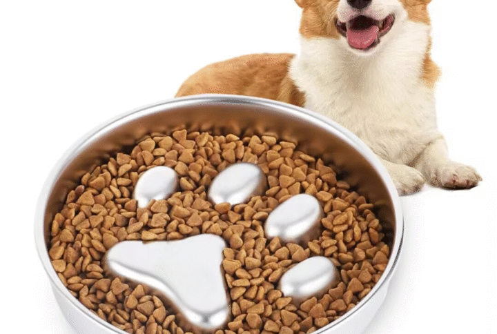 H038b289efd5a4cdda9a7517b7d3aa2b08 Lucky Pet