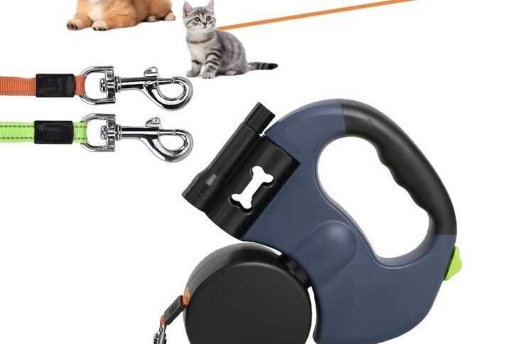 H4d6c956f775e4fd6af5f868f26a74a40s Lucky Pet