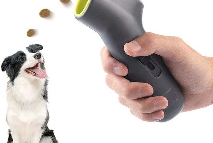 H6f1668106a574a7ea82117a6b97073d0D Lucky Pet