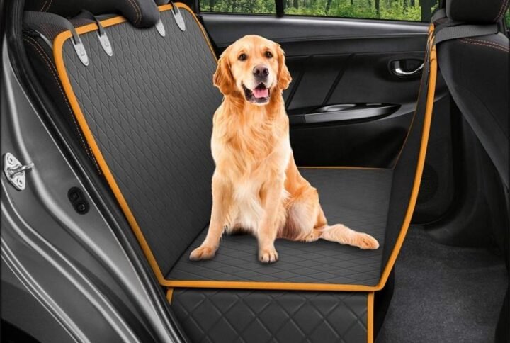 H721538b1185045c5a3eda001b94b73c8p Lucky Pet