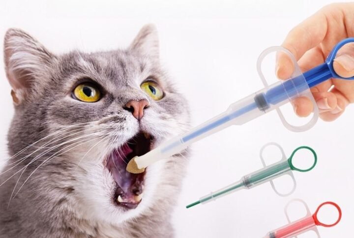 Hbeaca0c4f2be4138b994434518338d94u Lucky Pet