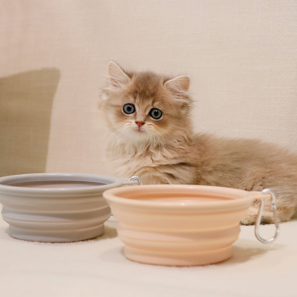 Hc57c31c1940c49b38a8d9e99dc973b2bv