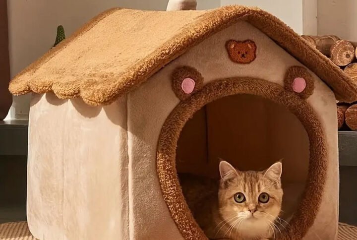 Hf9ceae8b426c4a69a5d3582aff7e730eW Lucky Pet