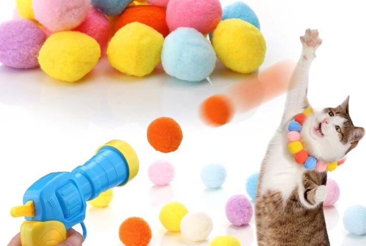 Hfb9f04742e82420580f4569c05f7d50cS1 Lucky Pet