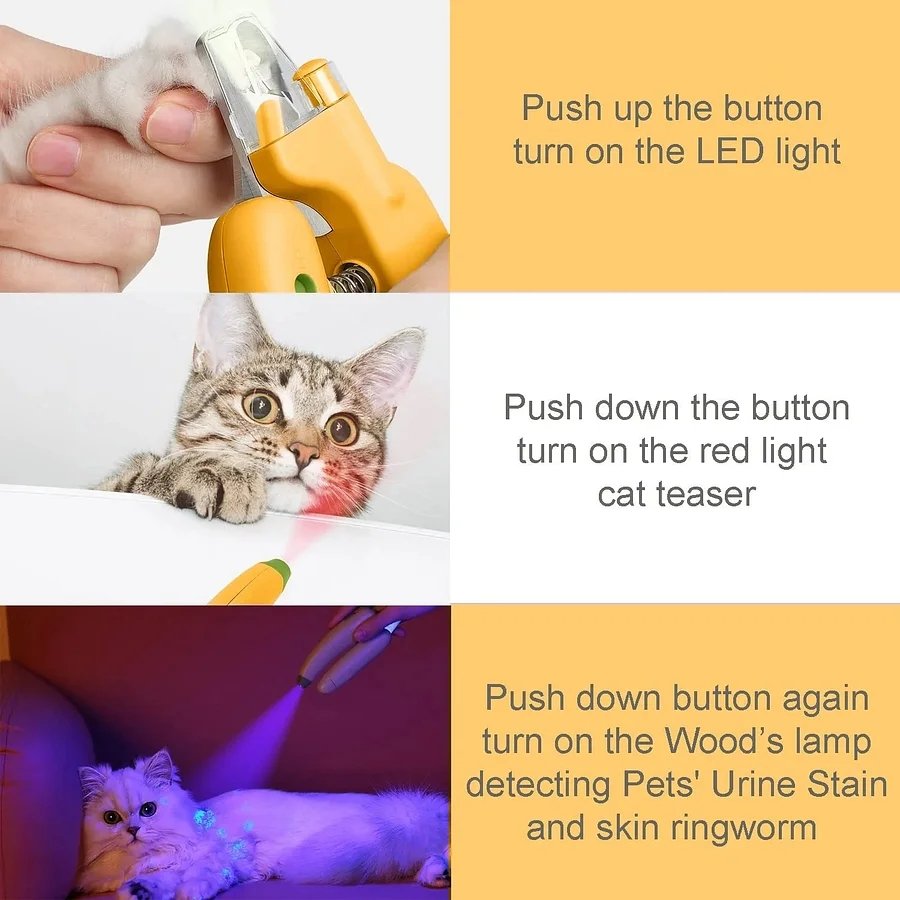 img_v3_02po_275b98f7-3e77-4bb2-9493-7bf664fbe21g