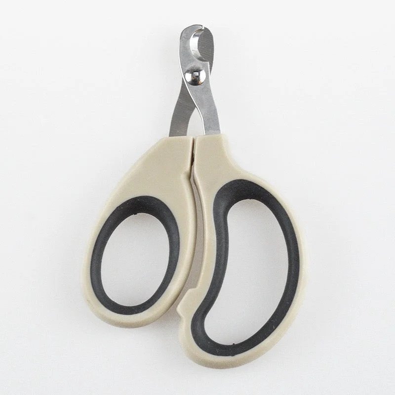 img_v3_02po_8b467635-7587-42b4-b14a-5a9e8607c6dg