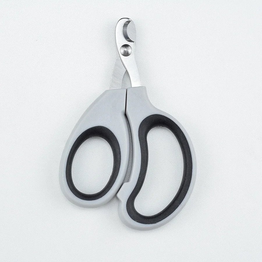 img_v3_02po_b2323f04-3282-4b95-a0bf-015affd45d2g