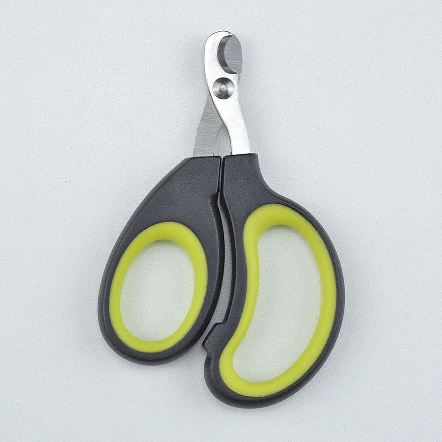 img_v3_02po_cfdc8c08-42ad-4af7-b8e4-fc32a3e0847g