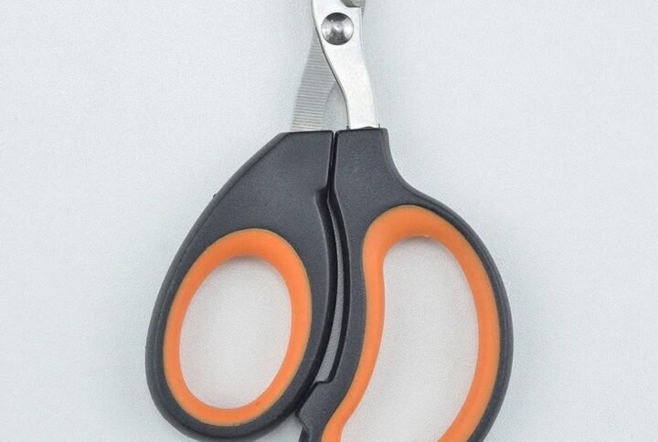 img v3 02po d458eceb f11a 41f0 a13c eca2627a554g Lucky Pet